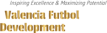 Valencia Futbol Development